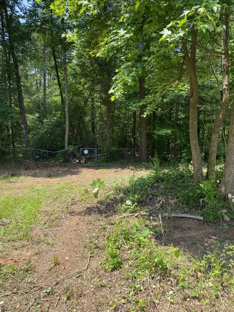 Professional outdoor landscaping experts serving Taylorsville, NC - TD&A grading and landscaping