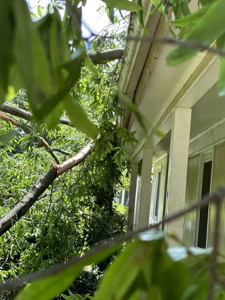 Top-rated yard cleanup service experts serving Taylorsville, NC - TD&A grading and landscaping