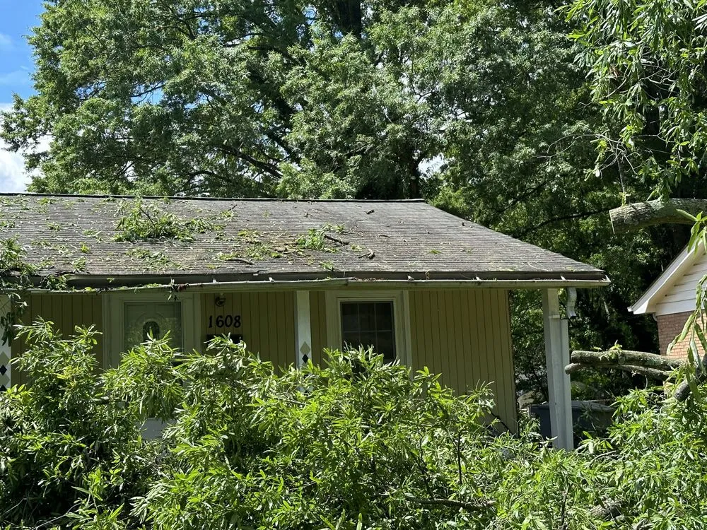 Custom residential landscaping experts serving Taylorsville, NC - TD&A grading and landscaping