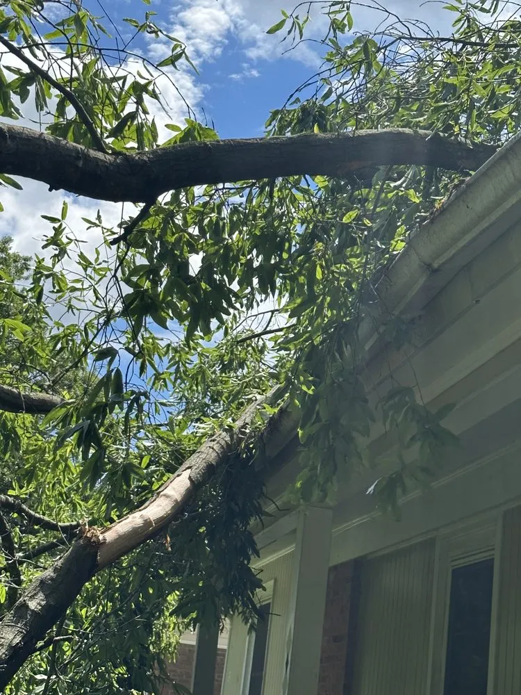 Local landscape design in Taylorsville, NC by TD&A grading and landscaping