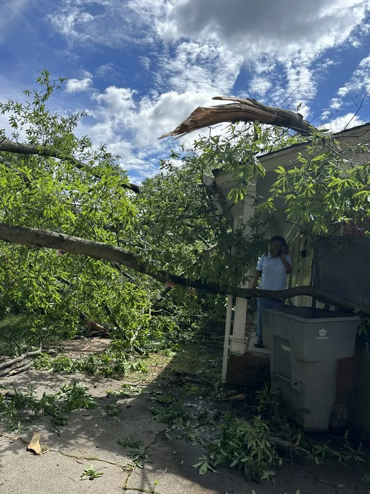 Trusted residential landscaping in Taylorsville, NC - TD&A grading and landscaping