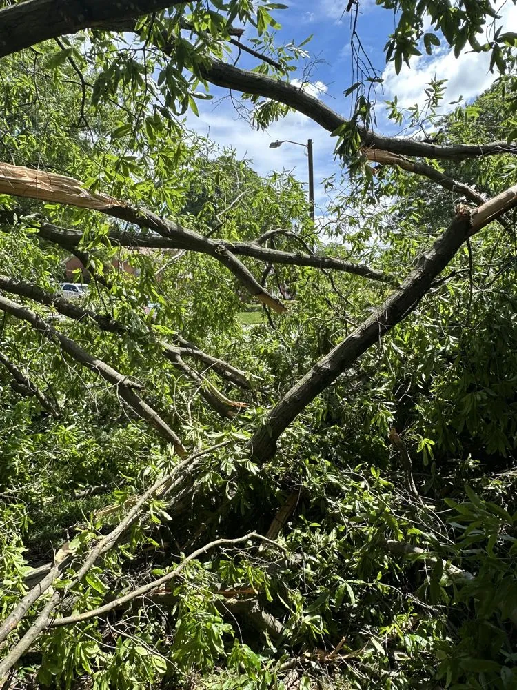 Professional landscaping services in Taylorsville, NC by TD&A grading and landscaping