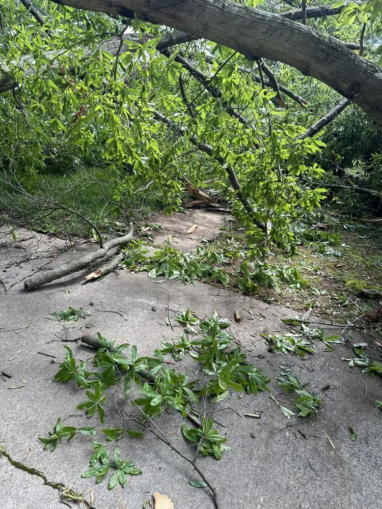 Top-rated landscaping services experts serving Taylorsville, NC - TD&A grading and landscaping