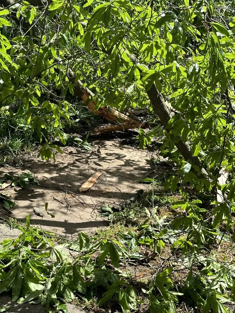 Top-rated landscape design with custom design in Taylorsville, NC by TD&A grading and landscaping