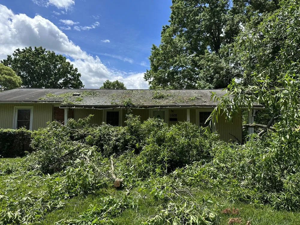 Affordable lawn care service near you in Taylorsville, NC by TD&A grading and landscaping