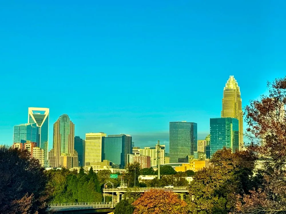 Professional landscape installation for beautiful yards across Catawba, SC - TDF Home Services