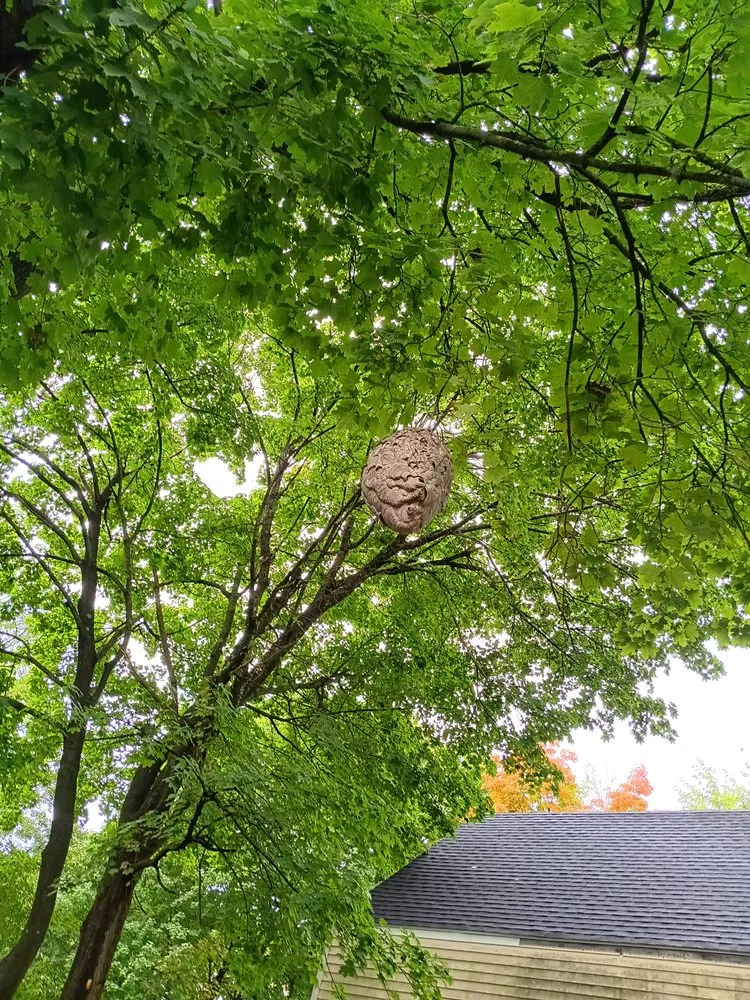 Trusted lawn care service in Torrington, CT - TDG Services