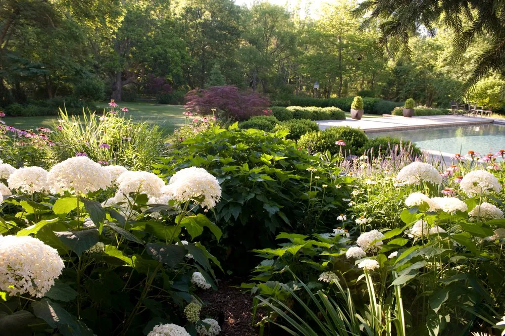 Expert landscape design in Monkton, MD - Tdh Landscaping