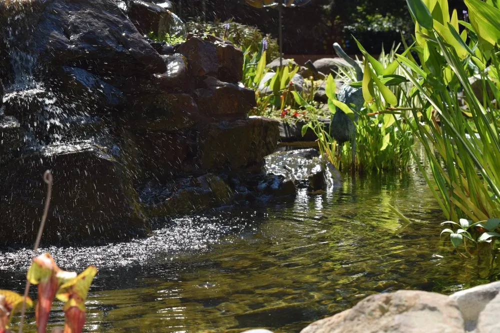 Top-rated landscaping services for year-round maintenance in Monkton, MD by Tdh Landscaping