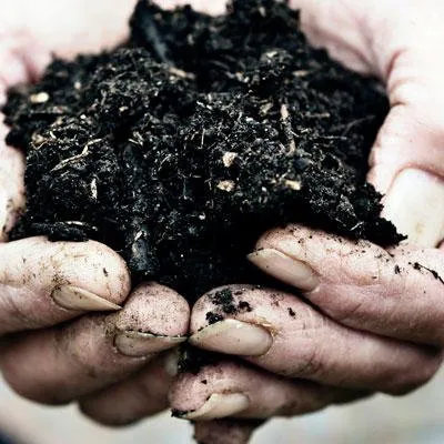 Trusted garden landscaping in Madison, AL by TDI Services