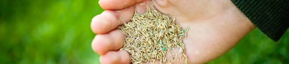 Custom lawn mowing service experts serving Madison, AL - TDI Services