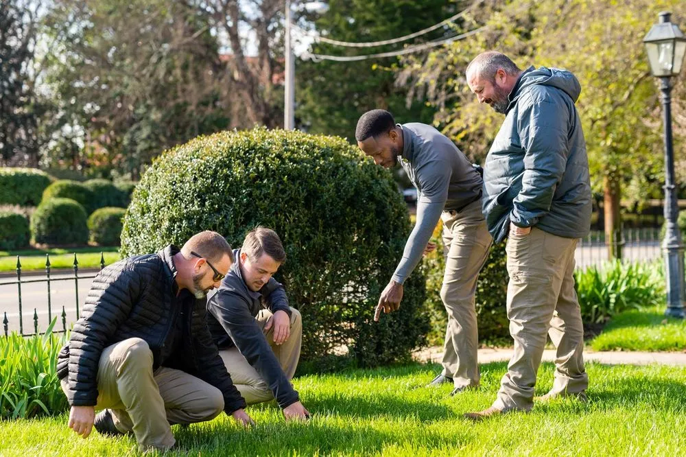 Local lawn care service in Madison, AL by TDI Services