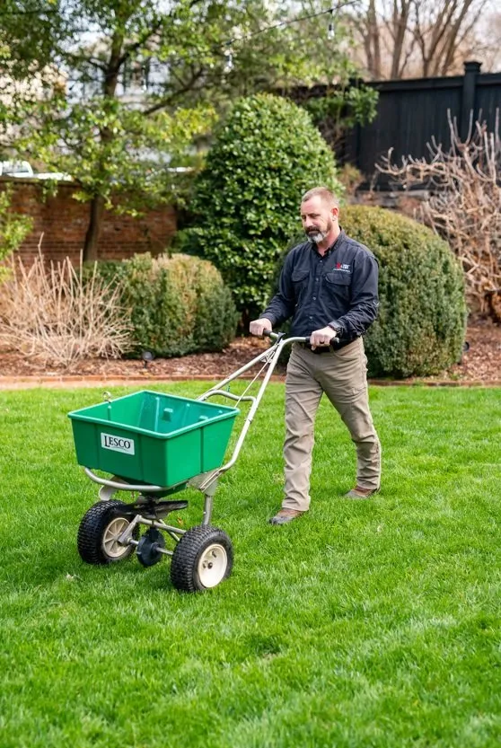 Reliable yard cleanup service near you across Madison, AL - TDI Services