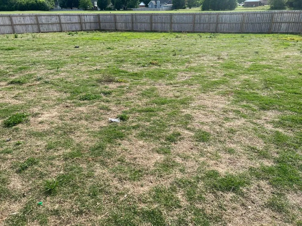 Trusted lawn mowing service for outdoor upgrades across Madison, AL - TDI Services