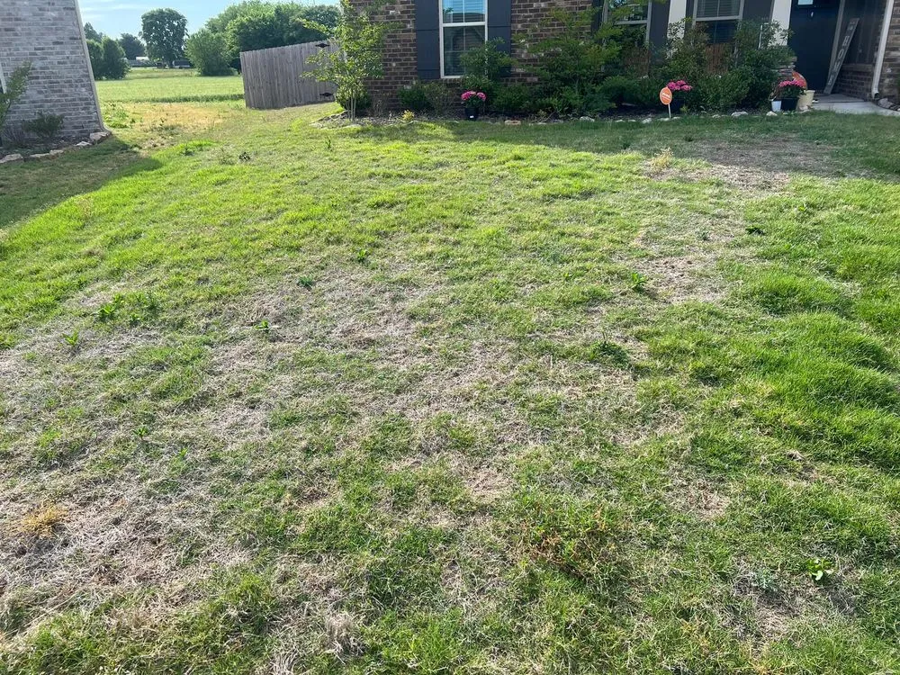 Custom landscape design for homes in Madison, AL by TDI Services