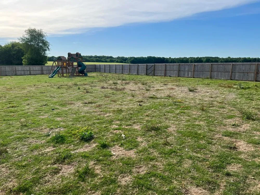 Trusted yard cleanup service in Madison, AL - TDI Services