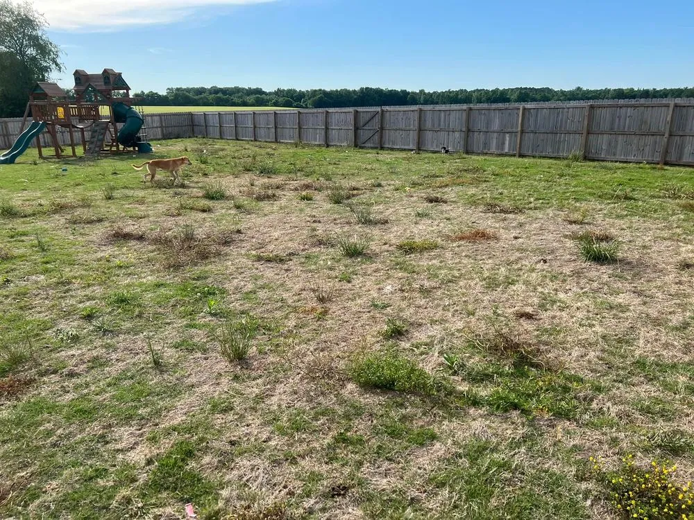 Professional residential landscaping in Madison, AL by TDI Services