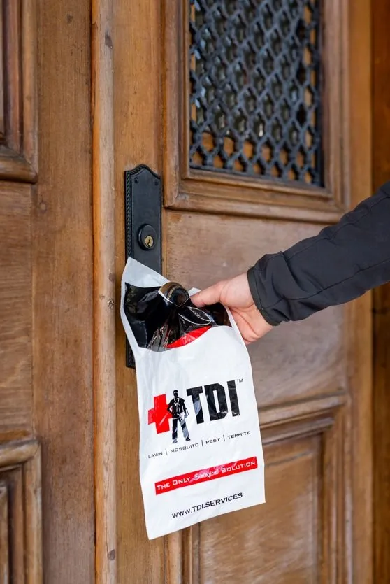 Top-rated landscaping services experts serving Robertsdale, AL - TDI Services