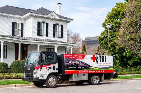 TDI Services Logo