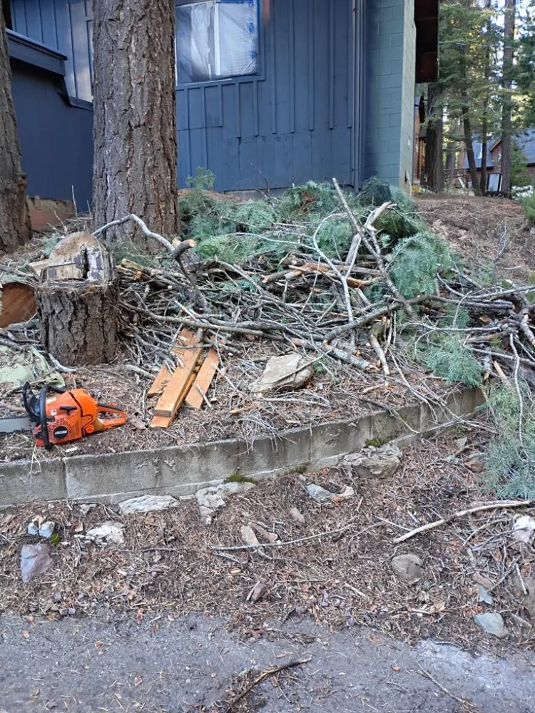 Trusted garden landscaping for year-round maintenance in Susanville, CA by TDK Landscaping and Maintenance