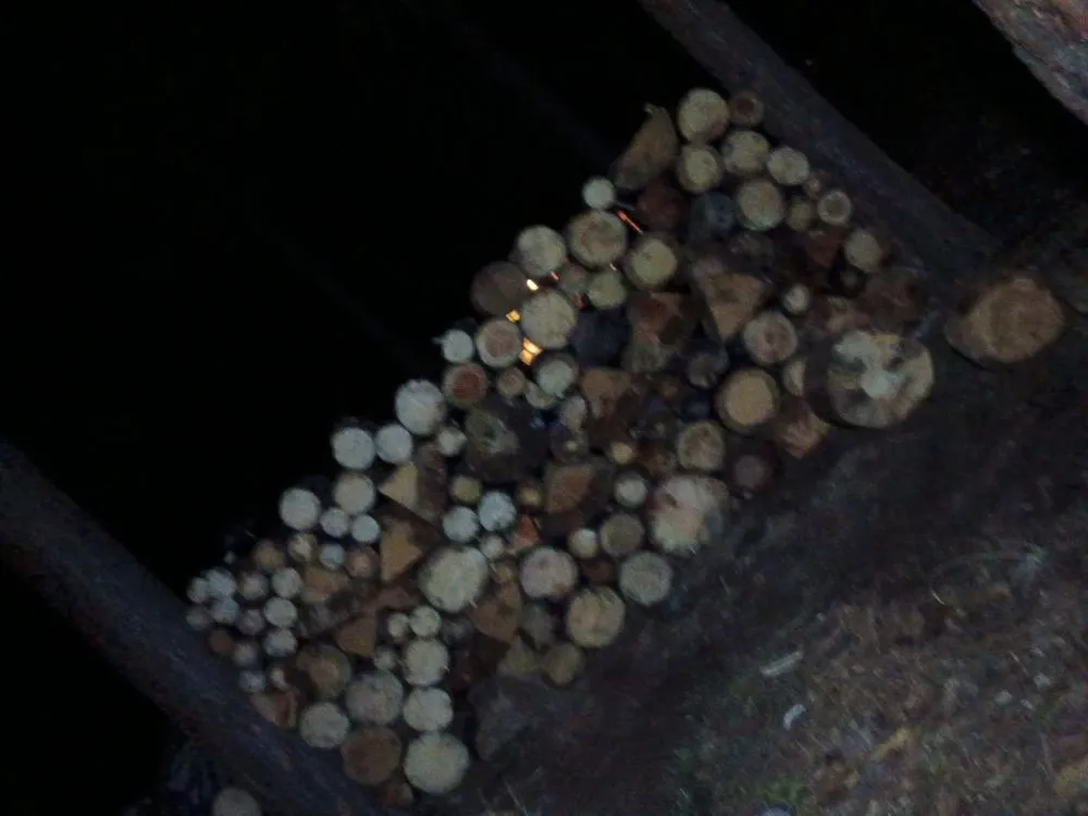 Local landscaping services in Susanville, CA - TDK Landscaping and Maintenance