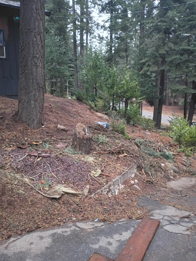 Custom garden landscaping experts serving Susanville, CA - TDK Landscaping and Maintenance