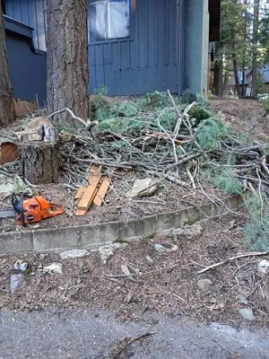 TDK Landscaping and Maintenance