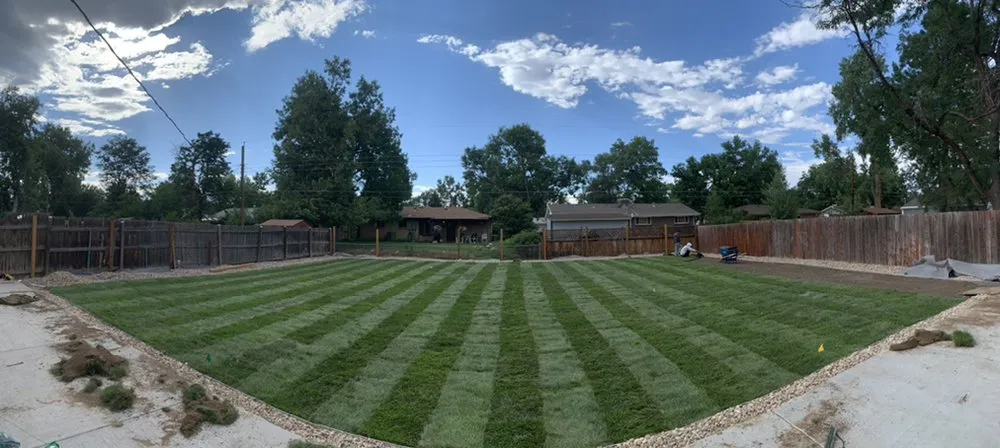 Custom landscape design in Sheridan, CO by TDK LANDSCAPING