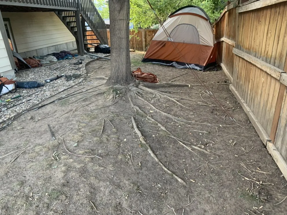 Reliable lawn care service experts serving Sheridan, CO - TDK LANDSCAPING