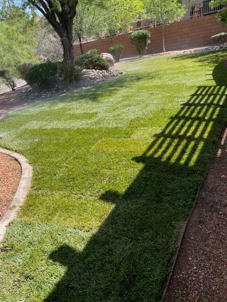 Trusted lawn care service near you across Mesquite, NV - TDR Landscaping