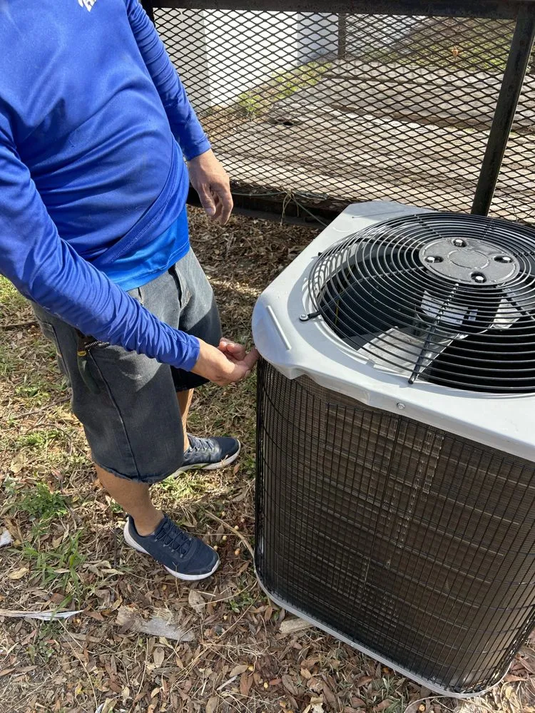 Custom lawn care service in St. Petersburg, FL by TDS Lawn & Landscaping