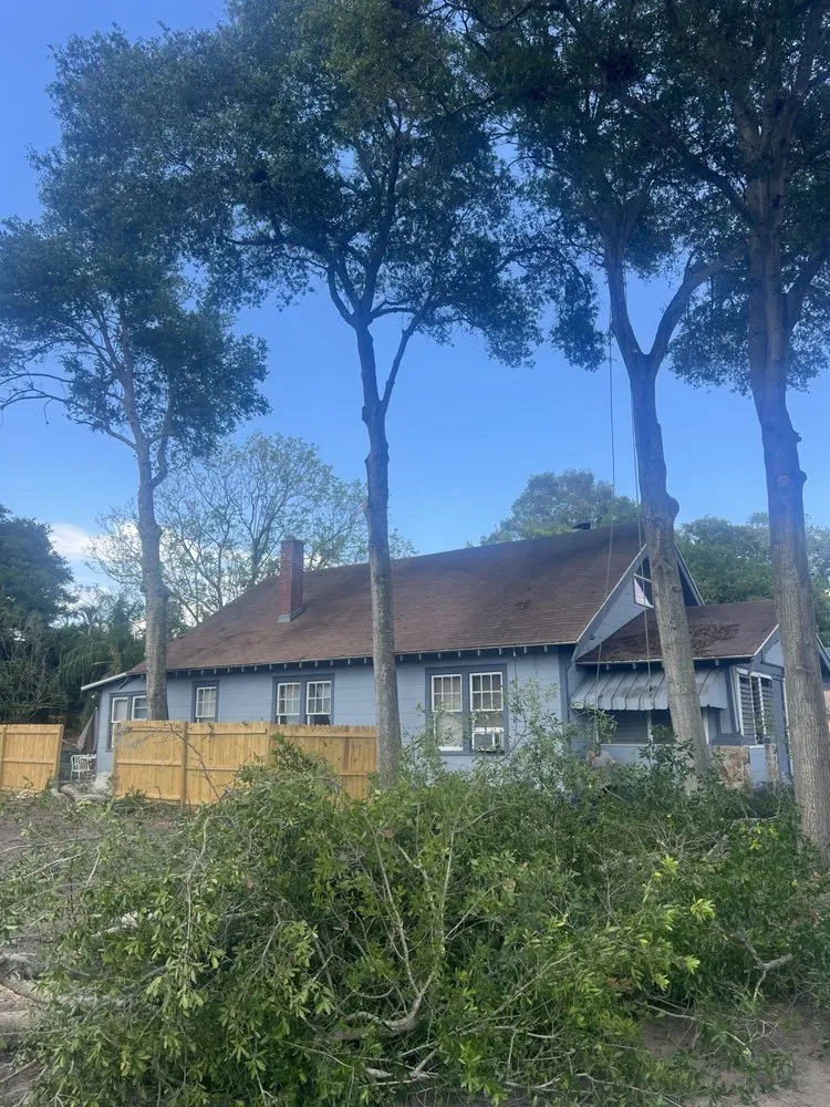 Local landscape design experts serving St. Petersburg, FL - TDS Lawn & Landscaping