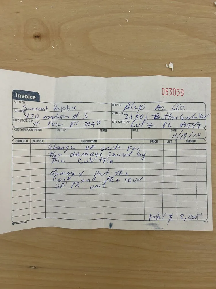 Local yard cleanup service for beautiful yards in St. Petersburg, FL by TDS Lawn & Landscaping