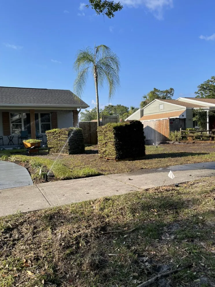 Affordable landscape design experts serving St. Petersburg, FL - TDS Lawn & Landscaping