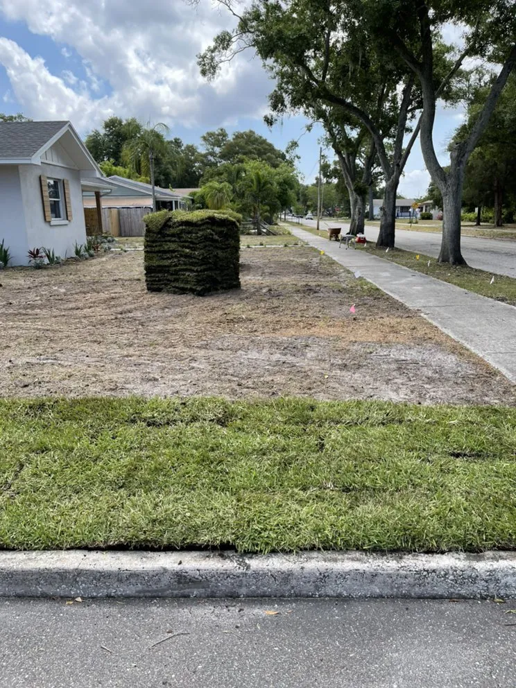 Professional lawn mowing service for beautiful yards in St. Petersburg, FL by TDS Lawn & Landscaping