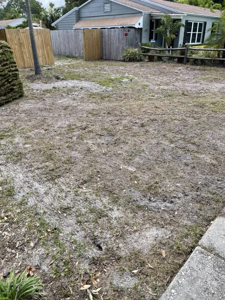 Local yard cleanup service for beautiful yards across St. Petersburg, FL - TDS Lawn & Landscaping