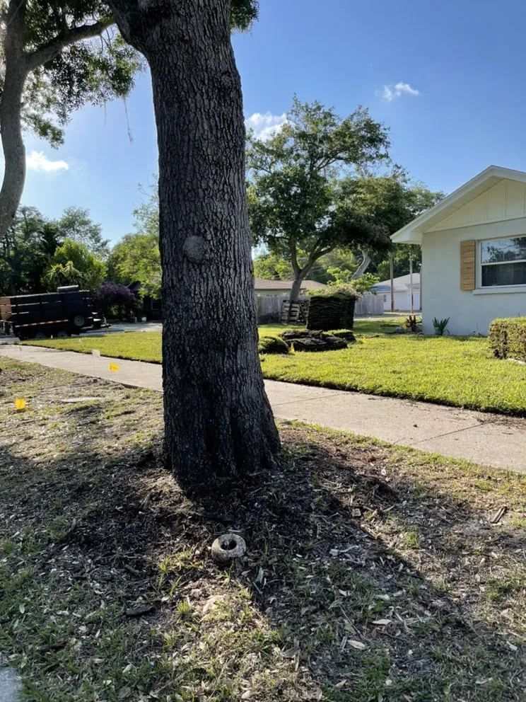 Custom lawn mowing service in St. Petersburg, FL - TDS Lawn & Landscaping