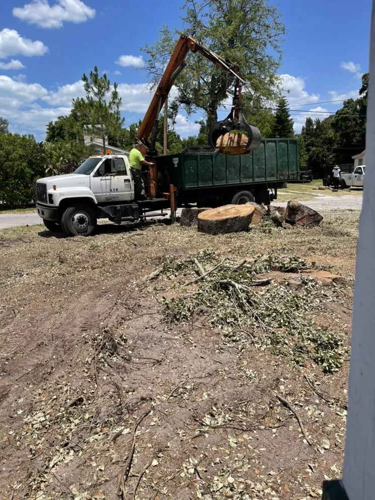 Trusted yard maintenance in St. Petersburg, FL by TDS Lawn & Landscaping