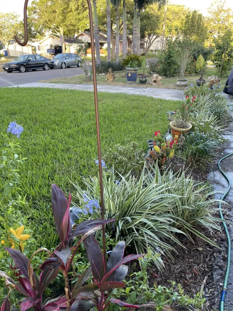 Affordable yard maintenance in St. Petersburg, FL - TDS Lawn & Landscaping