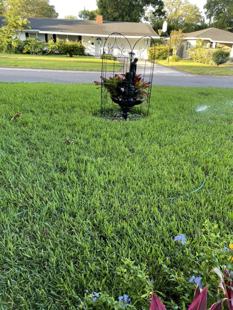 Local yard maintenance in St. Petersburg, FL - TDS Lawn & Landscaping