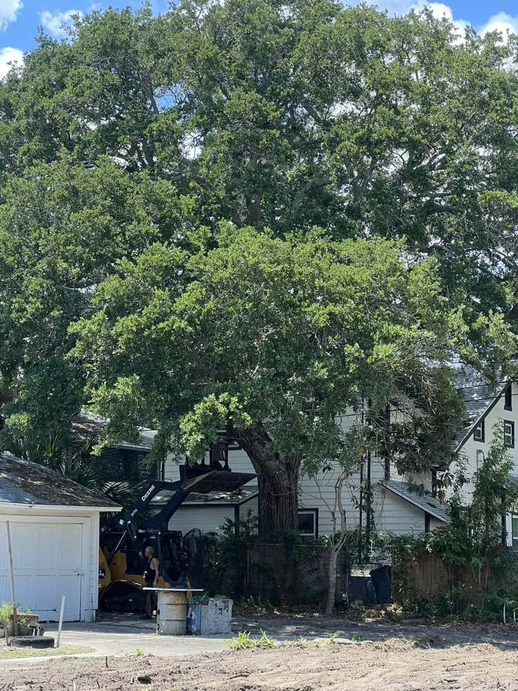 Top-rated yard maintenance in St. Petersburg, FL by TDS Lawn & Landscaping