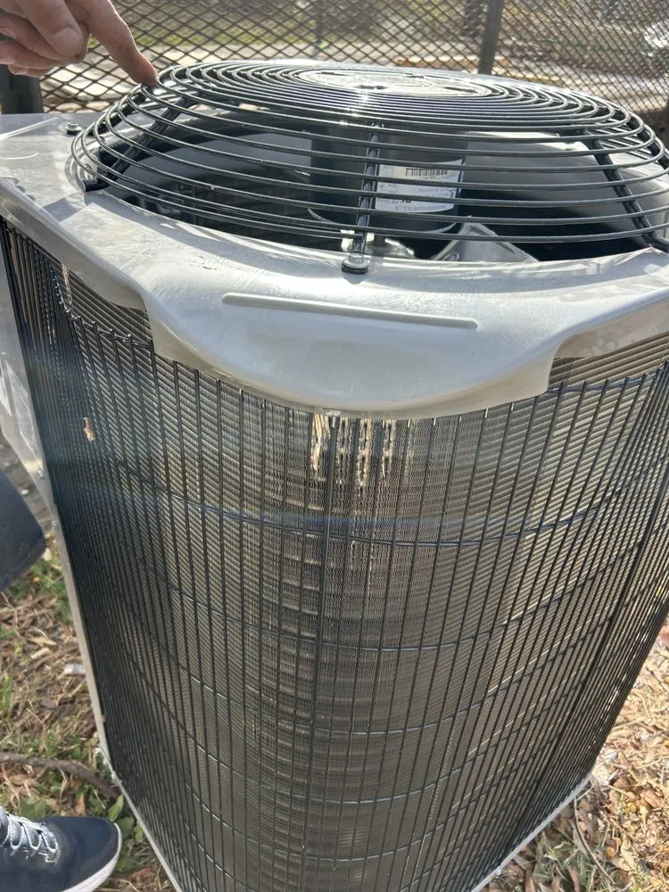 Expert garden landscaping in St. Petersburg, FL - TDS Lawn & Landscaping