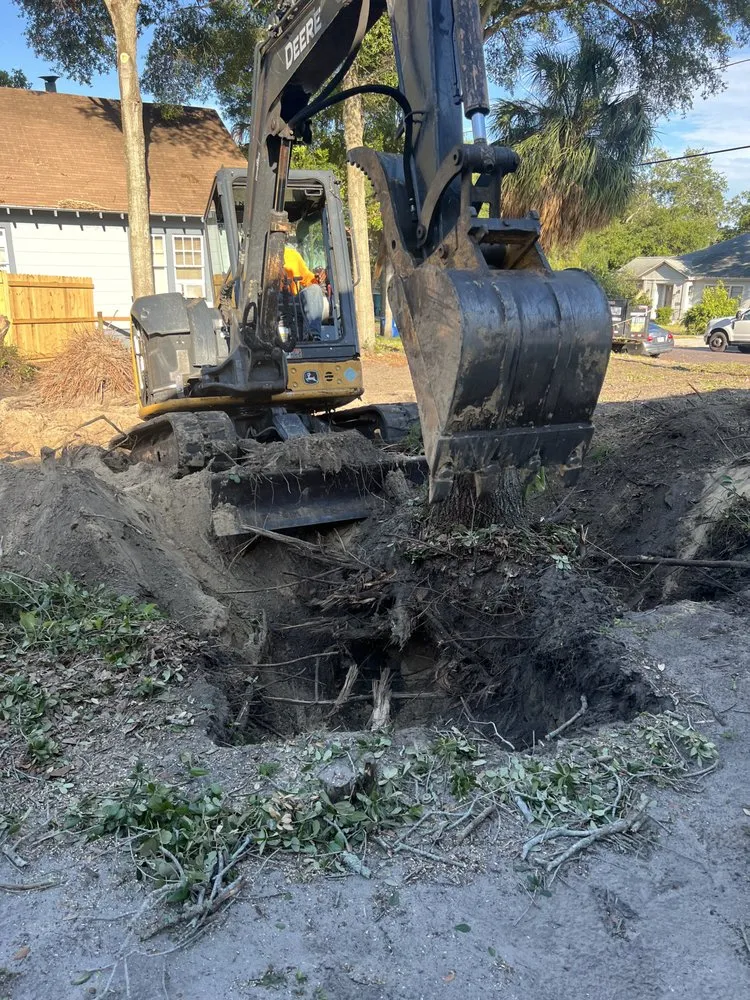 Affordable garden landscaping for outdoor upgrades across St. Petersburg, FL - TDS Lawn & Landscaping