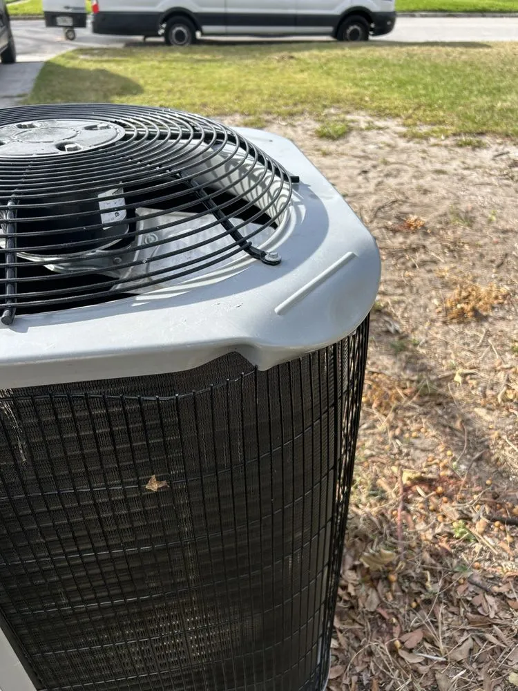 Local landscaping services experts serving St. Petersburg, FL - TDS Lawn & Landscaping