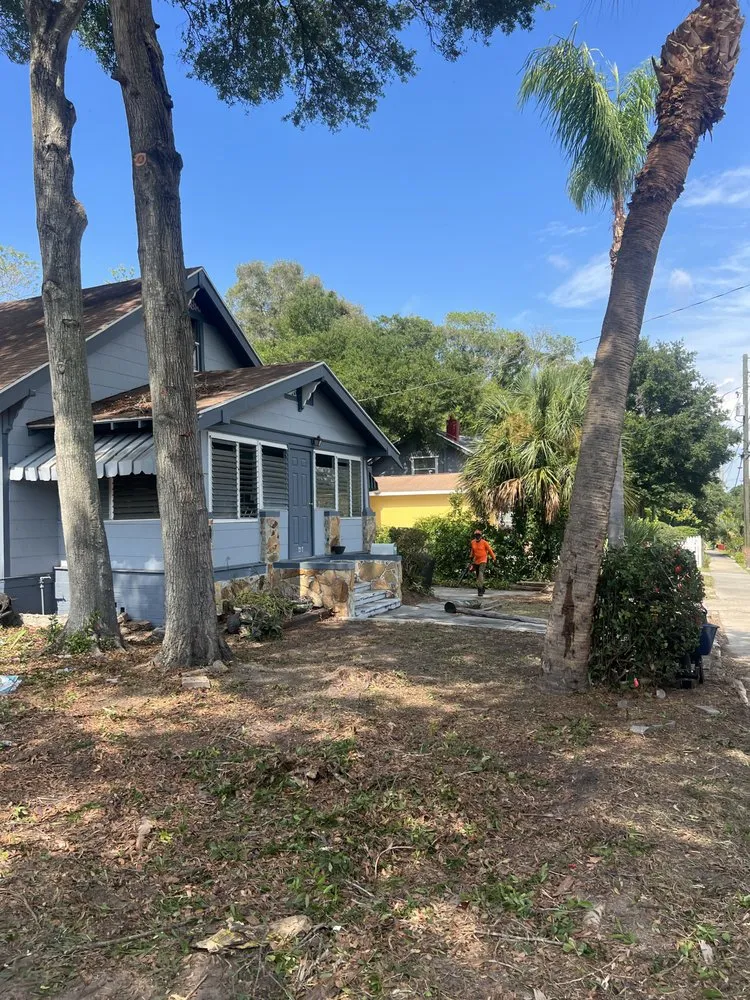 Local yard cleanup service in St. Petersburg, FL by TDS Lawn & Landscaping