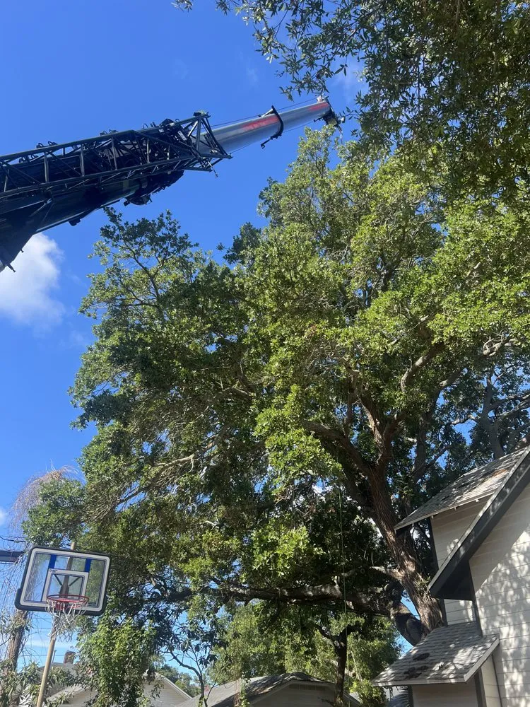 Trusted garden landscaping for outdoor upgrades across St. Petersburg, FL - TDS Lawn & Landscaping