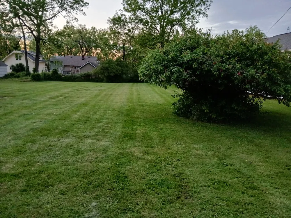 Professional lawn mowing service for homes in Mount Morris, MI by TD's lawncare
