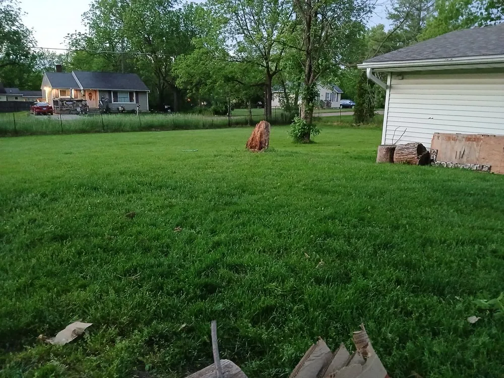 Expert yard maintenance for beautiful yards across Mount Morris, MI - TD's lawncare