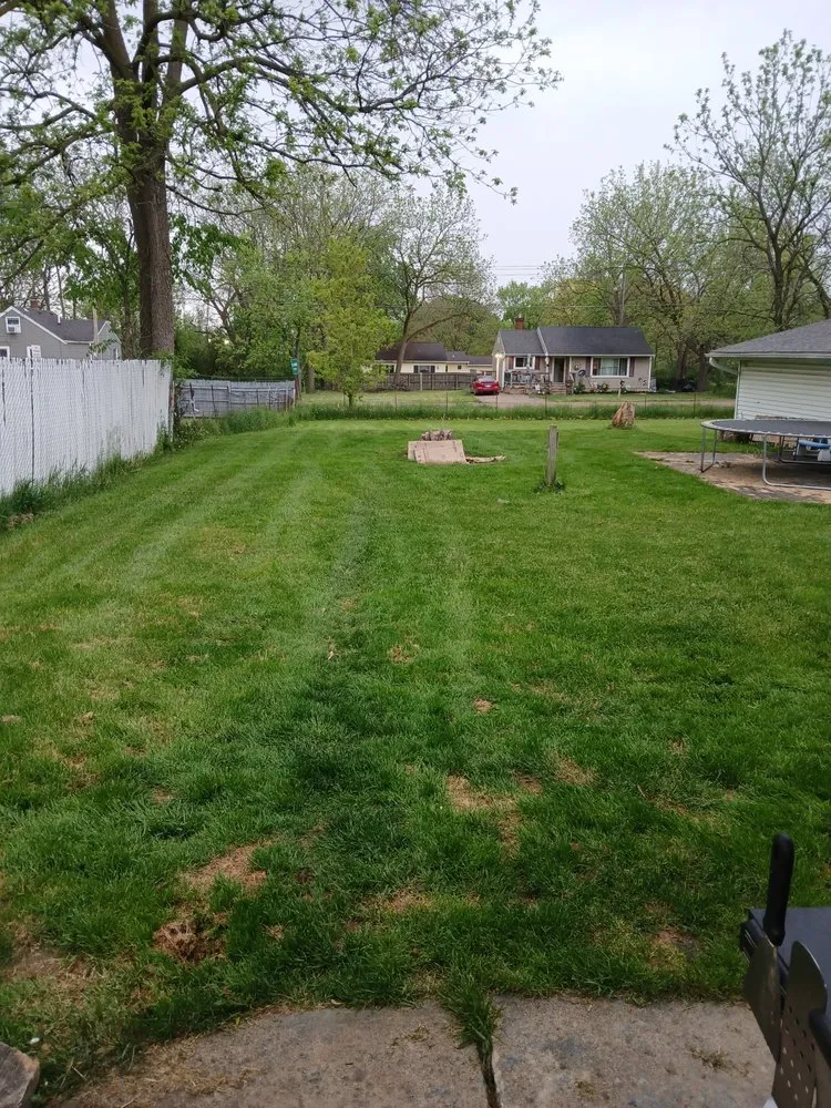 Professional landscape design for outdoor upgrades across Mount Morris, MI - TD's lawncare