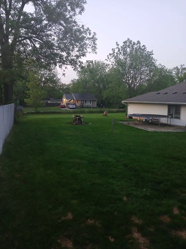 Affordable yard cleanup service experts serving Mount Morris, MI - TD's lawncare